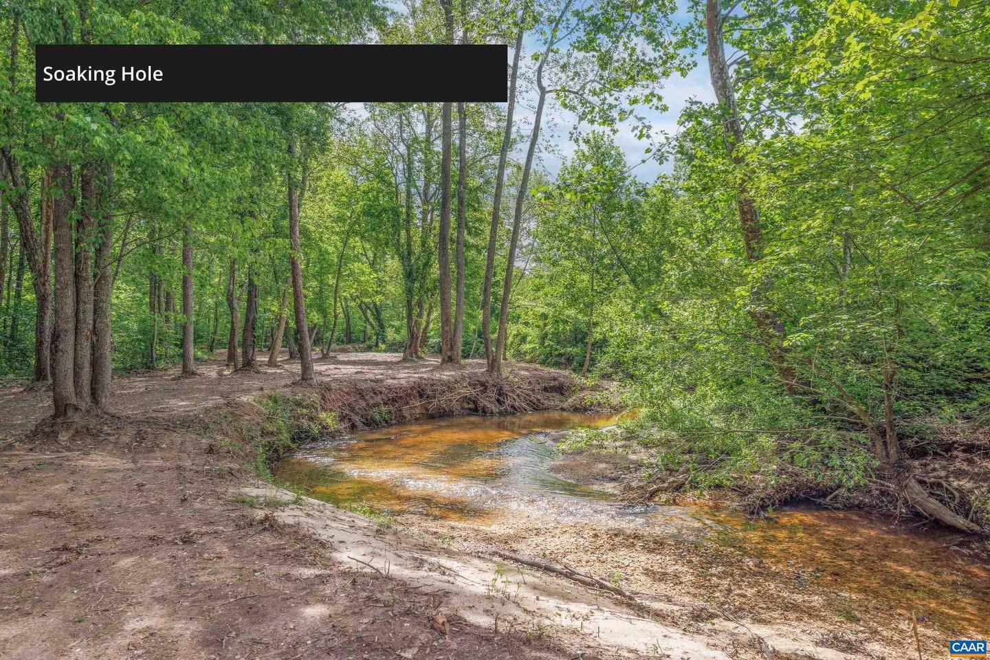 LOT 2 SHARPS CREEK RD, SCOTTSVILLE, Virginia 24590, ,Farm,For sale,LOT 2 SHARPS CREEK RD,664870 MLS # 664870