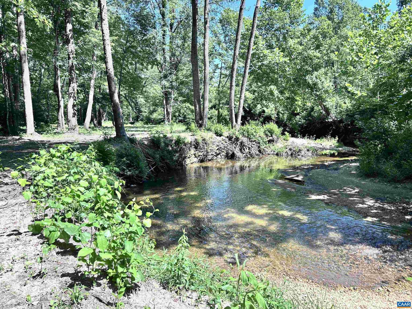 LOT 2 SHARPS CREEK RD, SCOTTSVILLE, Virginia 24590, ,Farm,For sale,LOT 2 SHARPS CREEK RD,664870 MLS # 664870