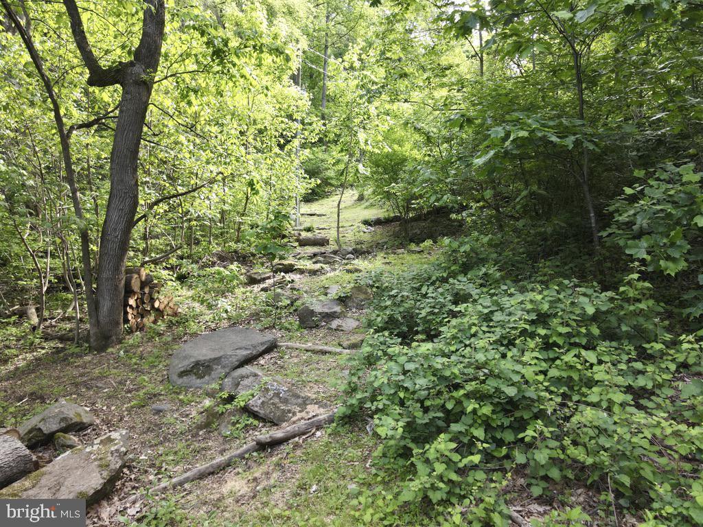 87 WOODLAND LN, HUNTLY, Virginia 22640, 2 Bedrooms Bedrooms, ,1 BathroomBathrooms,Residential,For sale,87 WOODLAND LN,VARP2002078 MLS # VARP2002078