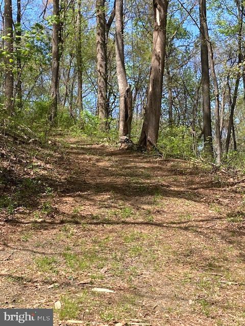87 WOODLAND LN, HUNTLY, Virginia 22640, 2 Bedrooms Bedrooms, ,1 BathroomBathrooms,Residential,For sale,87 WOODLAND LN,VARP2002078 MLS # VARP2002078