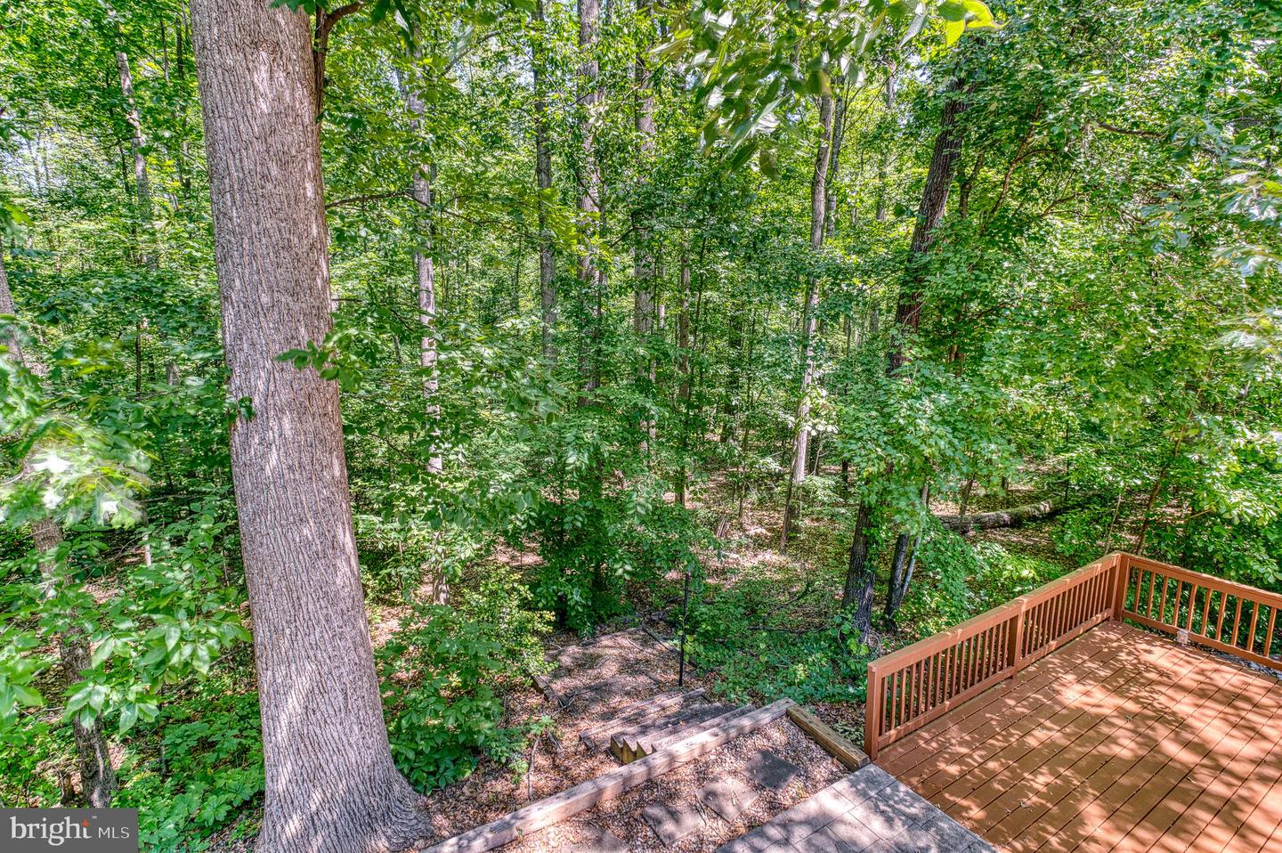 4195 OLD TOAD RD, BEALETON, Virginia 22712, 3 Bedrooms Bedrooms, ,3 BathroomsBathrooms,Residential,For sale,4195 OLD TOAD RD,VAFQ2016596 MLS # VAFQ2016596