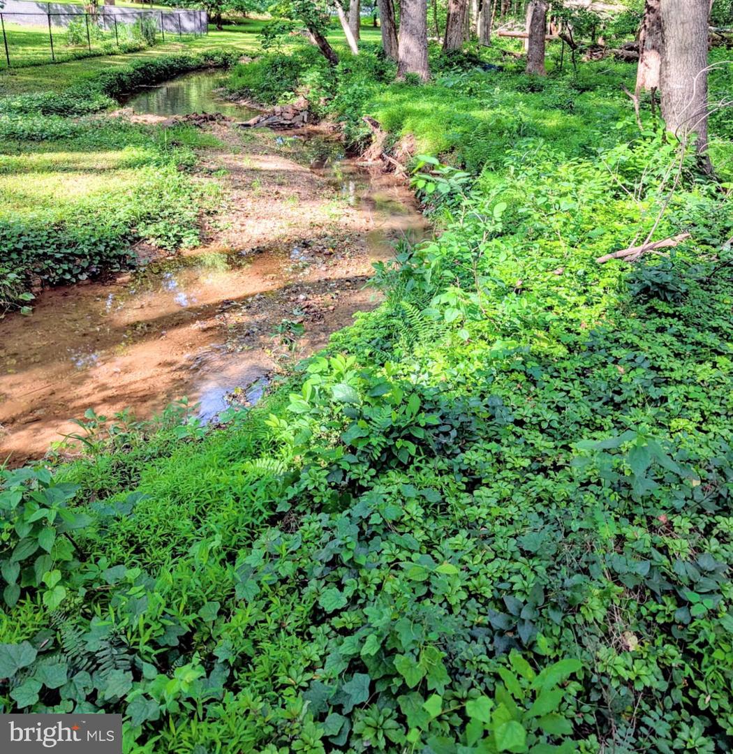 115 LAFAYETTE PL, FOREST, Virginia 24551, 3 Bedrooms Bedrooms, ,2 BathroomsBathrooms,Residential,For sale,115 LAFAYETTE PL,VABV2000210 MLS # VABV2000210
