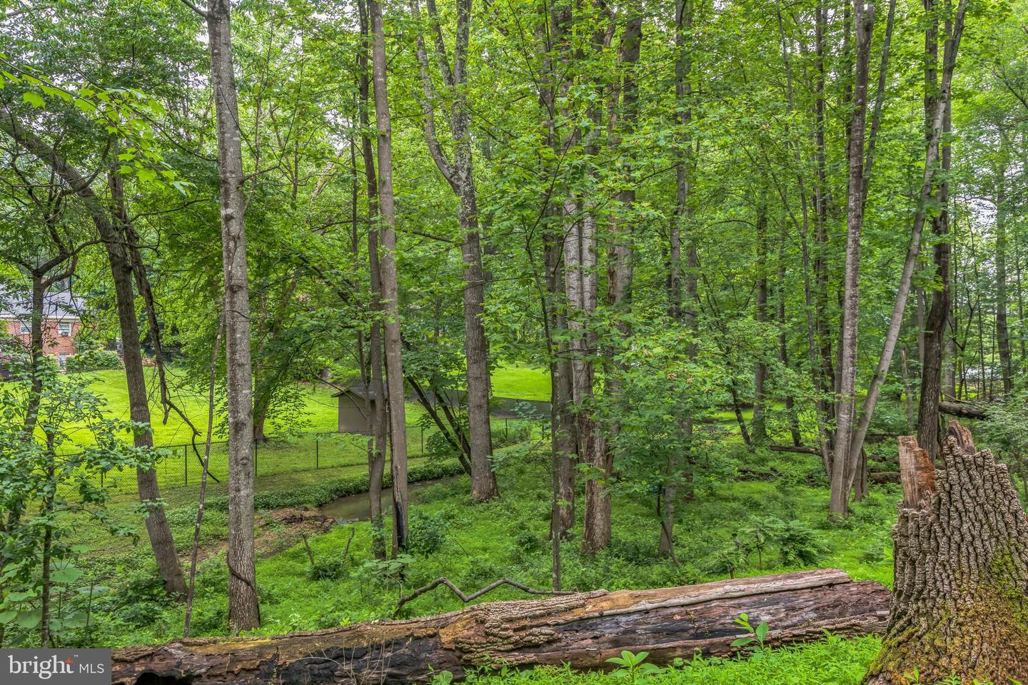 115 LAFAYETTE PL, FOREST, Virginia 24551, 3 Bedrooms Bedrooms, ,2 BathroomsBathrooms,Residential,For sale,115 LAFAYETTE PL,VABV2000210 MLS # VABV2000210