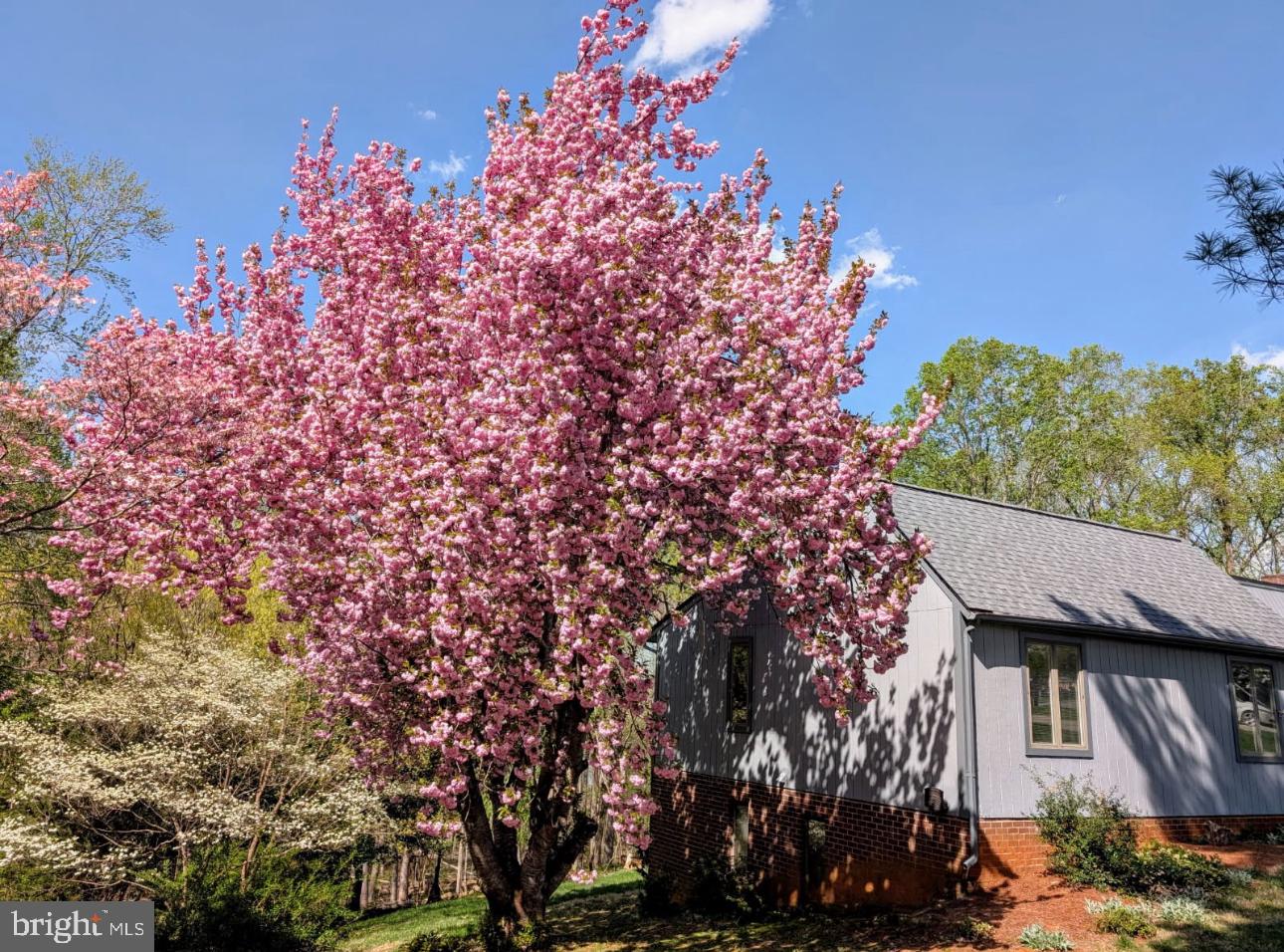 115 LAFAYETTE PL, FOREST, Virginia 24551, 3 Bedrooms Bedrooms, ,2 BathroomsBathrooms,Residential,For sale,115 LAFAYETTE PL,VABV2000210 MLS # VABV2000210