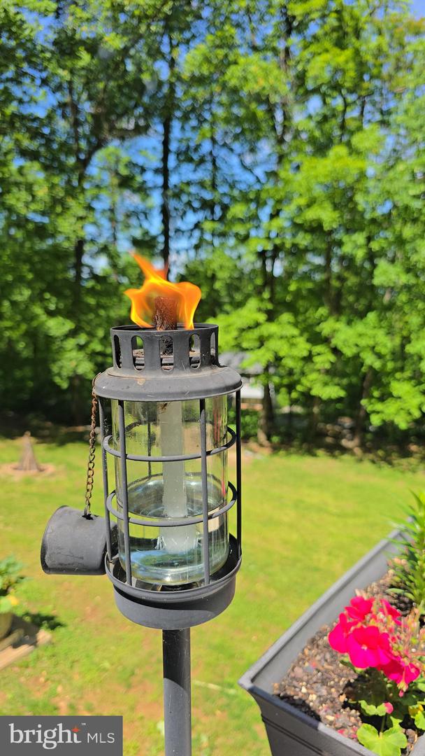 63 HICKORY NUT RD, LINDEN, Virginia 22642, 3 Bedrooms Bedrooms, ,3 BathroomsBathrooms,Residential,For sale,63 HICKORY NUT RD,VAWR2011222 MLS # VAWR2011222