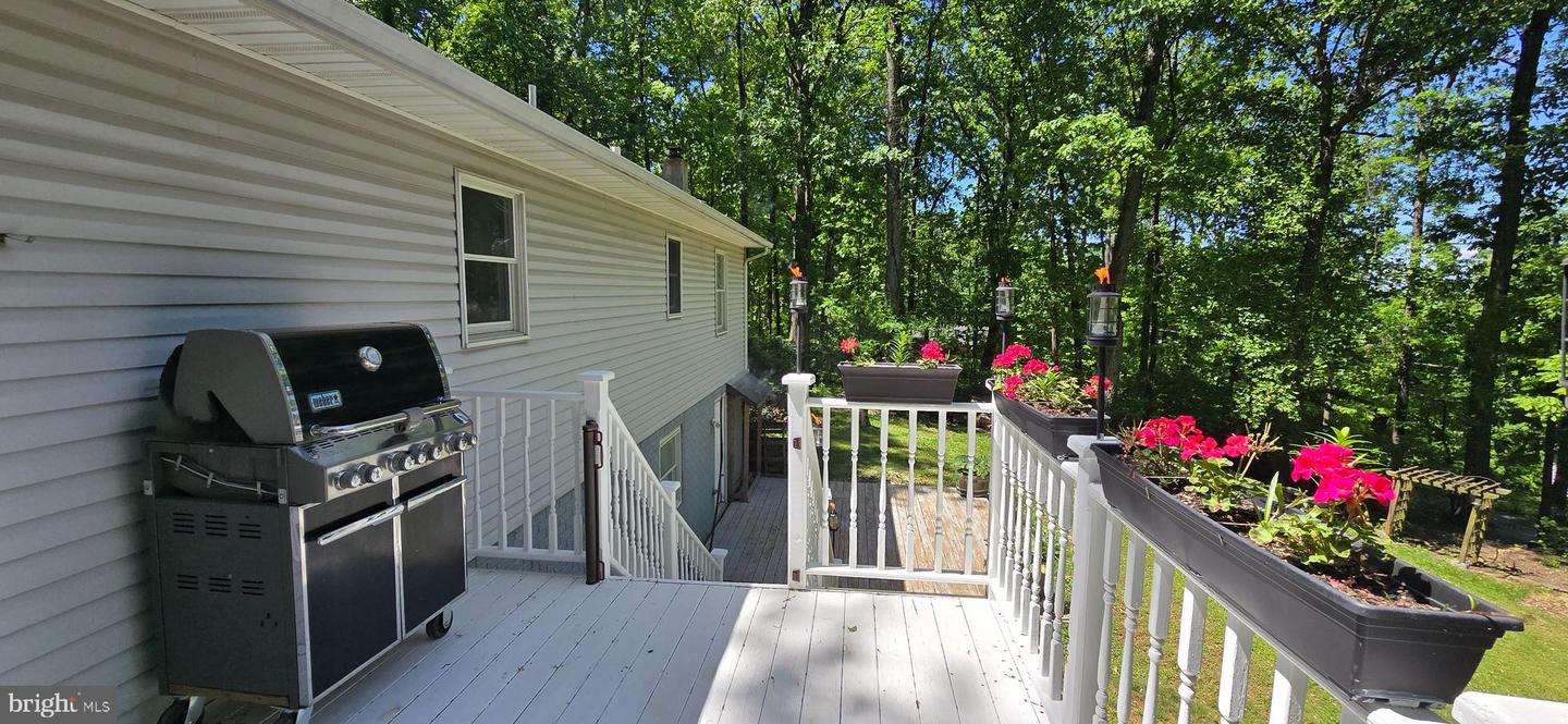 63 HICKORY NUT RD, LINDEN, Virginia 22642, 3 Bedrooms Bedrooms, ,3 BathroomsBathrooms,Residential,For sale,63 HICKORY NUT RD,VAWR2011222 MLS # VAWR2011222