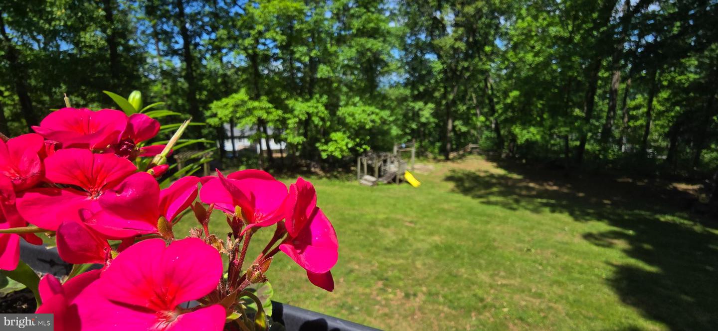 63 HICKORY NUT RD, LINDEN, Virginia 22642, 3 Bedrooms Bedrooms, ,3 BathroomsBathrooms,Residential,For sale,63 HICKORY NUT RD,VAWR2011222 MLS # VAWR2011222