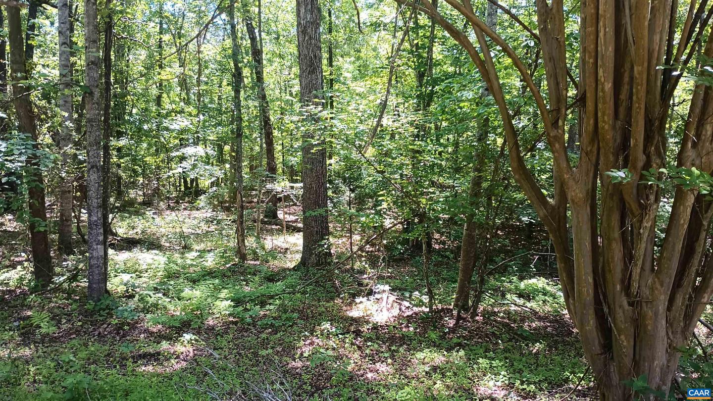 23 LYONS HOLLOW, SCHUYLER, Virginia 22969, 3 Bedrooms Bedrooms, ,2 BathroomsBathrooms,Residential,For sale,23 LYONS HOLLOW,664871 MLS # 664871