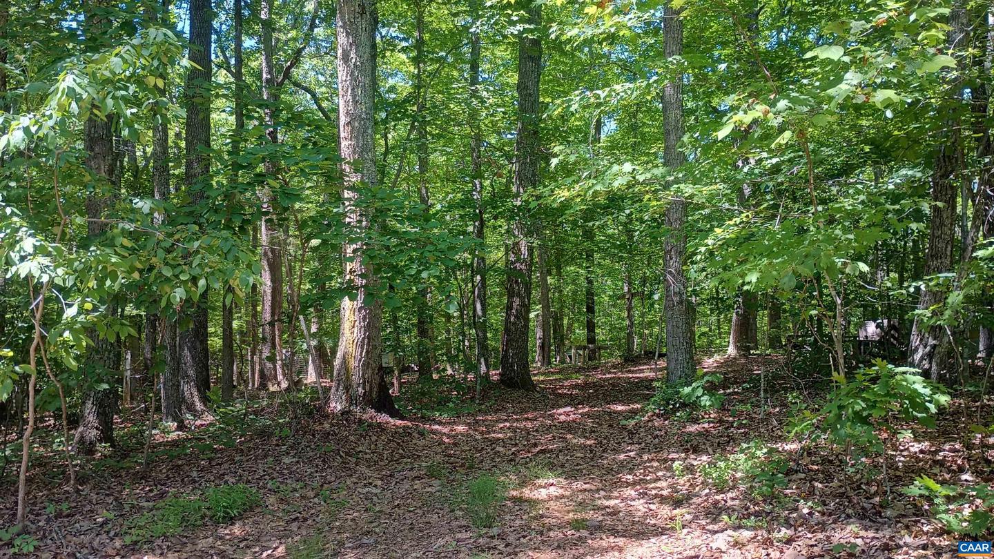 23 LYONS HOLLOW, SCHUYLER, Virginia 22969, 3 Bedrooms Bedrooms, ,2 BathroomsBathrooms,Residential,For sale,23 LYONS HOLLOW,664871 MLS # 664871