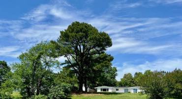 298 CHERRY ORCHARD LN, MONTROSS, Virginia 22520, 3 Bedrooms Bedrooms, 7 Rooms Rooms,2 BathroomsBathrooms,Residential,For sale,298 CHERRY ORCHARD LN,VAWE2008958 MLS # VAWE2008958