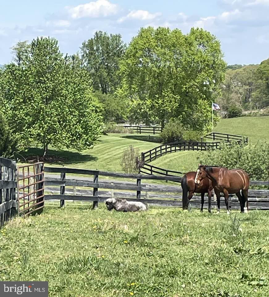 17029 HAMILTON STATION RD, HAMILTON, Virginia 20158, 3 Bedrooms Bedrooms, ,4 BathroomsBathrooms,Farm,For sale,17029 HAMILTON STATION RD,VALO2092492 MLS # VALO2092492