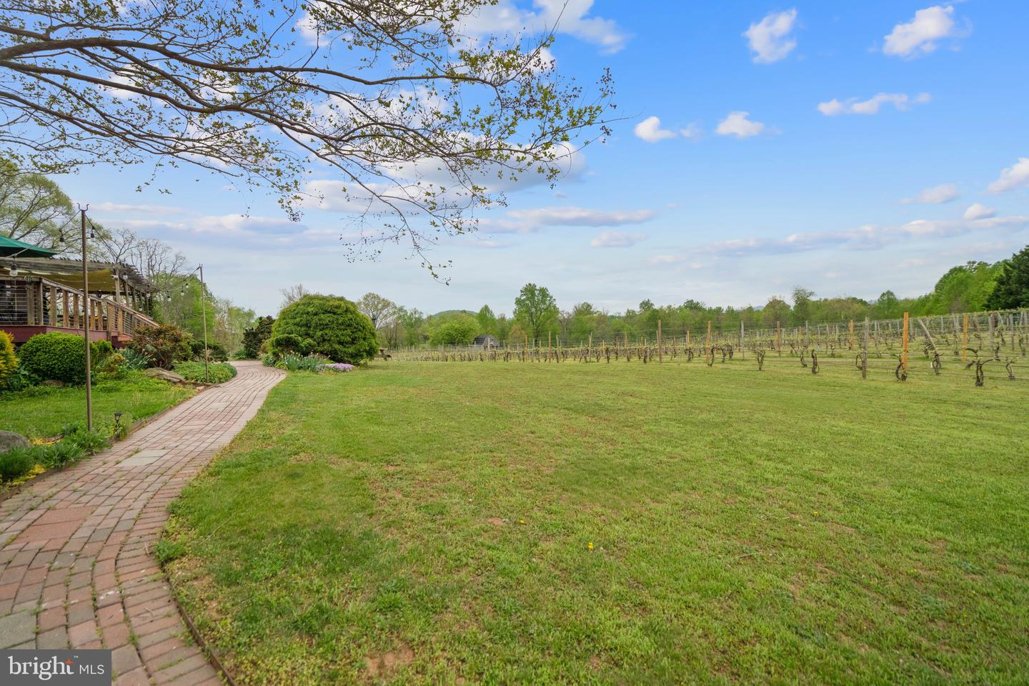 92 SCHOOLHOUSE RD, WASHINGTON, Virginia 22747, 4 Bedrooms Bedrooms, ,3 BathroomsBathrooms,Farm,For sale,92 SCHOOLHOUSE RD,VARP2002056 MLS # VARP2002056