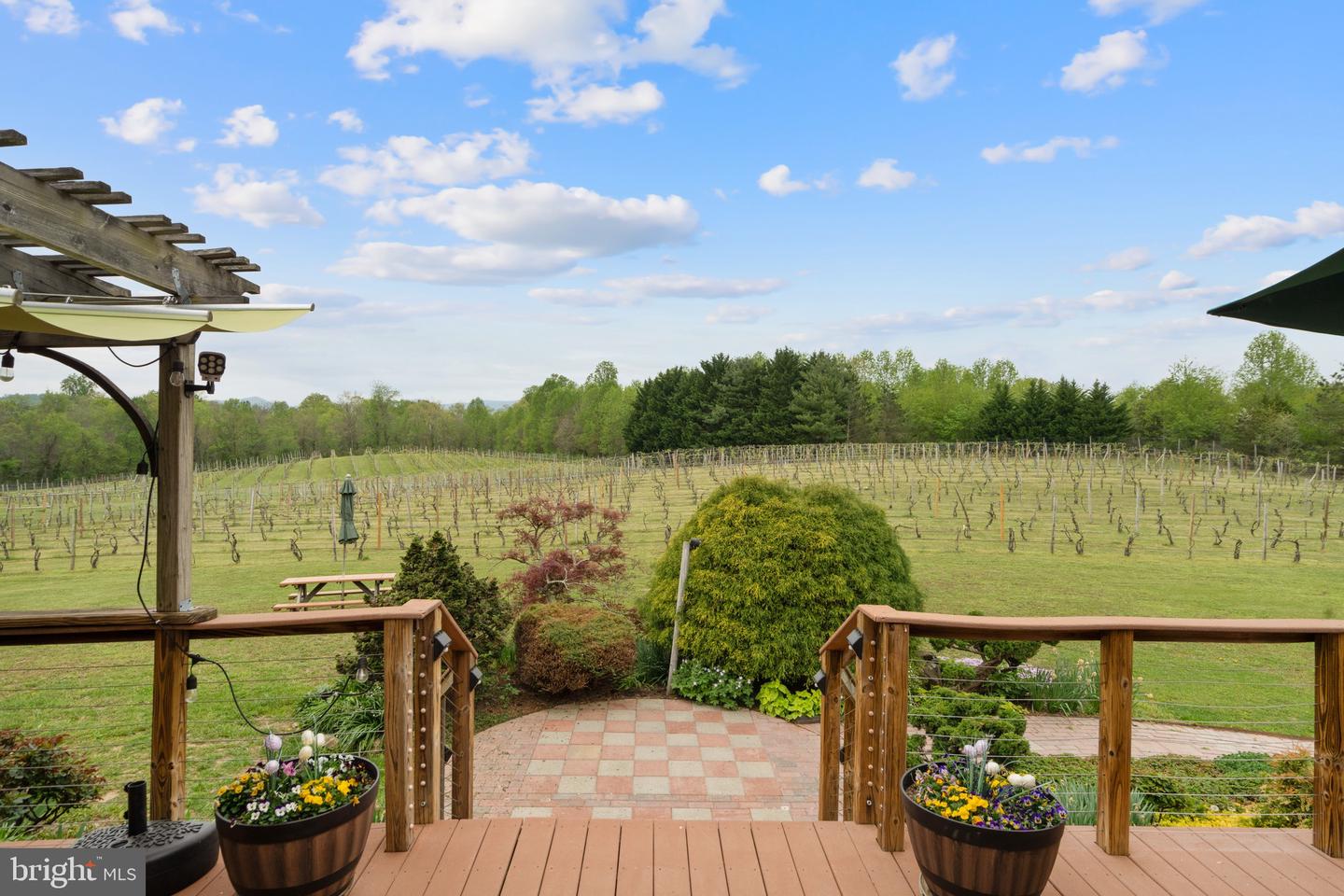 92 SCHOOLHOUSE RD, WASHINGTON, Virginia 22747, 4 Bedrooms Bedrooms, ,3 BathroomsBathrooms,Farm,For sale,92 SCHOOLHOUSE RD,VARP2002056 MLS # VARP2002056