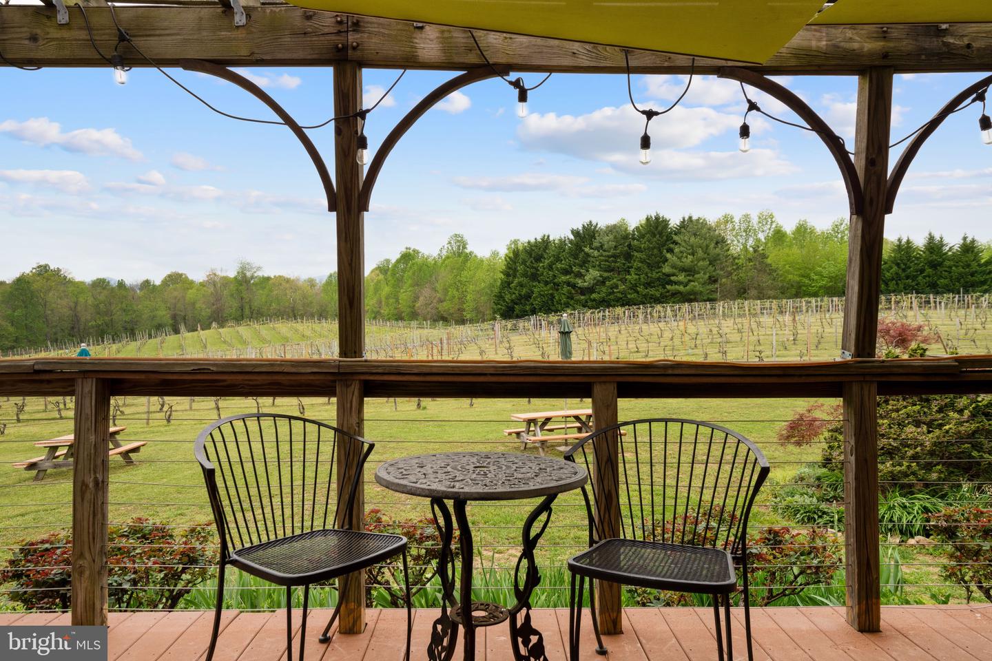92 SCHOOLHOUSE RD, WASHINGTON, Virginia 22747, 4 Bedrooms Bedrooms, ,3 BathroomsBathrooms,Farm,For sale,92 SCHOOLHOUSE RD,VARP2002056 MLS # VARP2002056