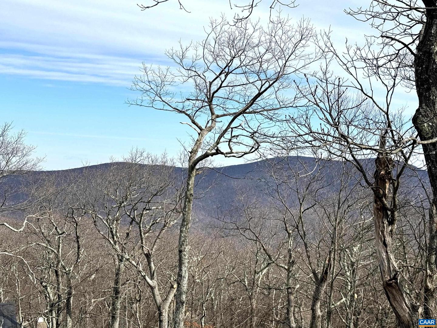 82 PEDLARS EDGE DR, WINTERGREEN RESORT, Virginia 22967, ,Land,For sale,82 PEDLARS EDGE DR,659482 MLS # 659482