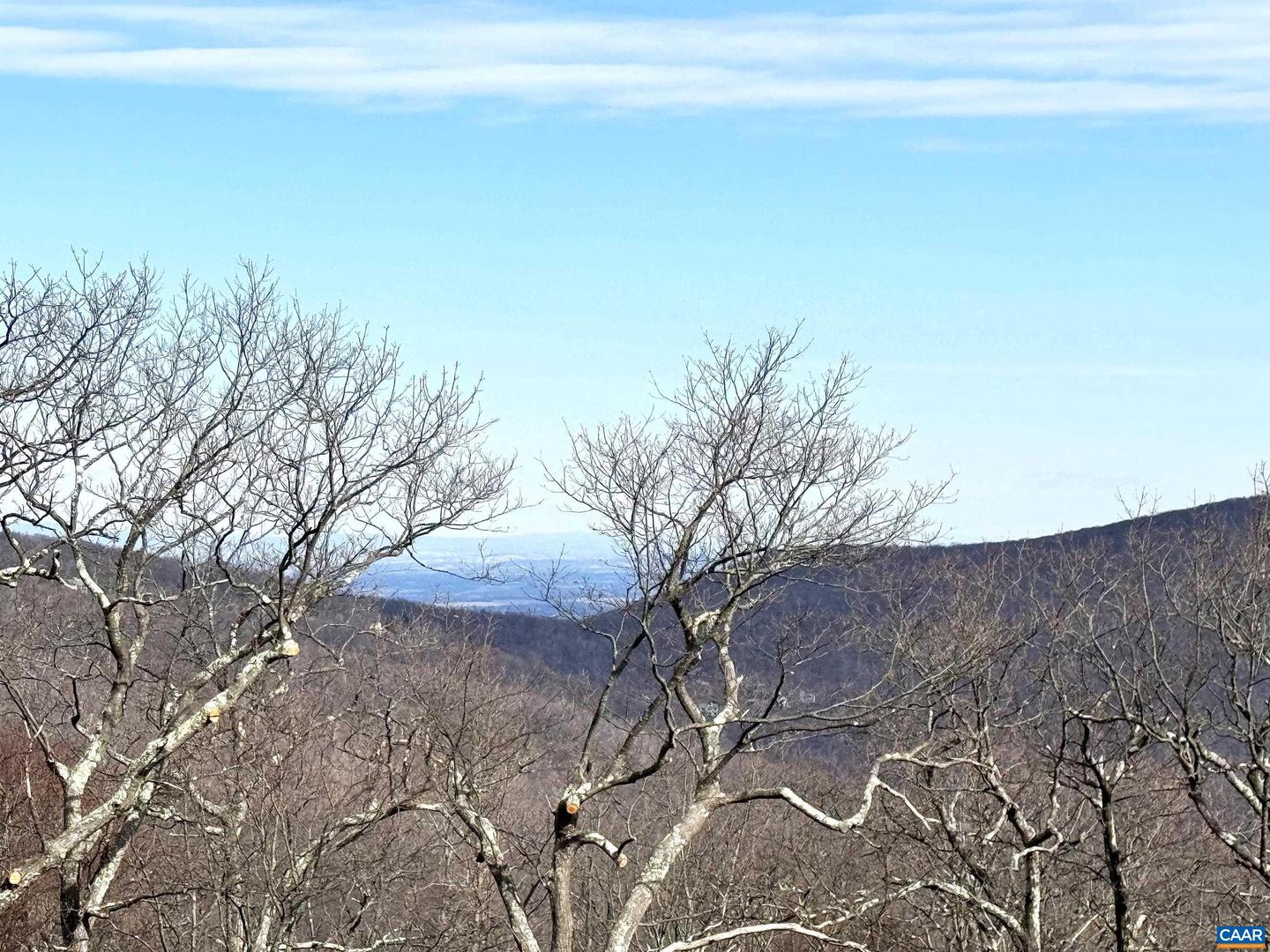 82 PEDLARS EDGE DR, WINTERGREEN RESORT, Virginia 22967, ,Land,For sale,82 PEDLARS EDGE DR,659482 MLS # 659482