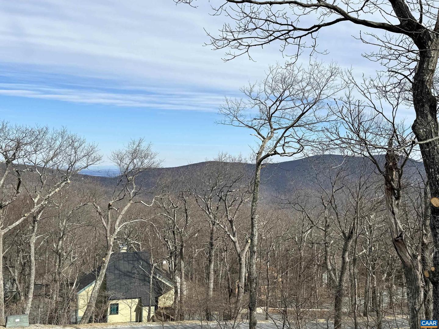 82 PEDLARS EDGE DR, WINTERGREEN RESORT, Virginia 22967, ,Land,For sale,82 PEDLARS EDGE DR,659482 MLS # 659482