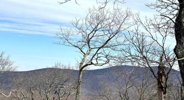 82 PEDLARS EDGE DR, WINTERGREEN RESORT, Virginia 22967, ,Land,For sale,82 PEDLARS EDGE DR,659482 MLS # 659482