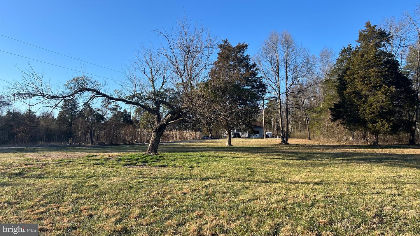4819 SUDLEY RD, CATHARPIN, Virginia 20143, ,Land,For sale,4819 SUDLEY RD,VAPW2089914 MLS # VAPW2089914