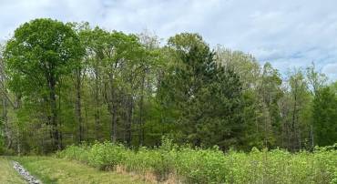 LOT 64 ARK AVE, BUMPASS, Virginia 23024, ,Land,For sale,LOT 64 ARK AVE,VALA2007698 MLS # VALA2007698