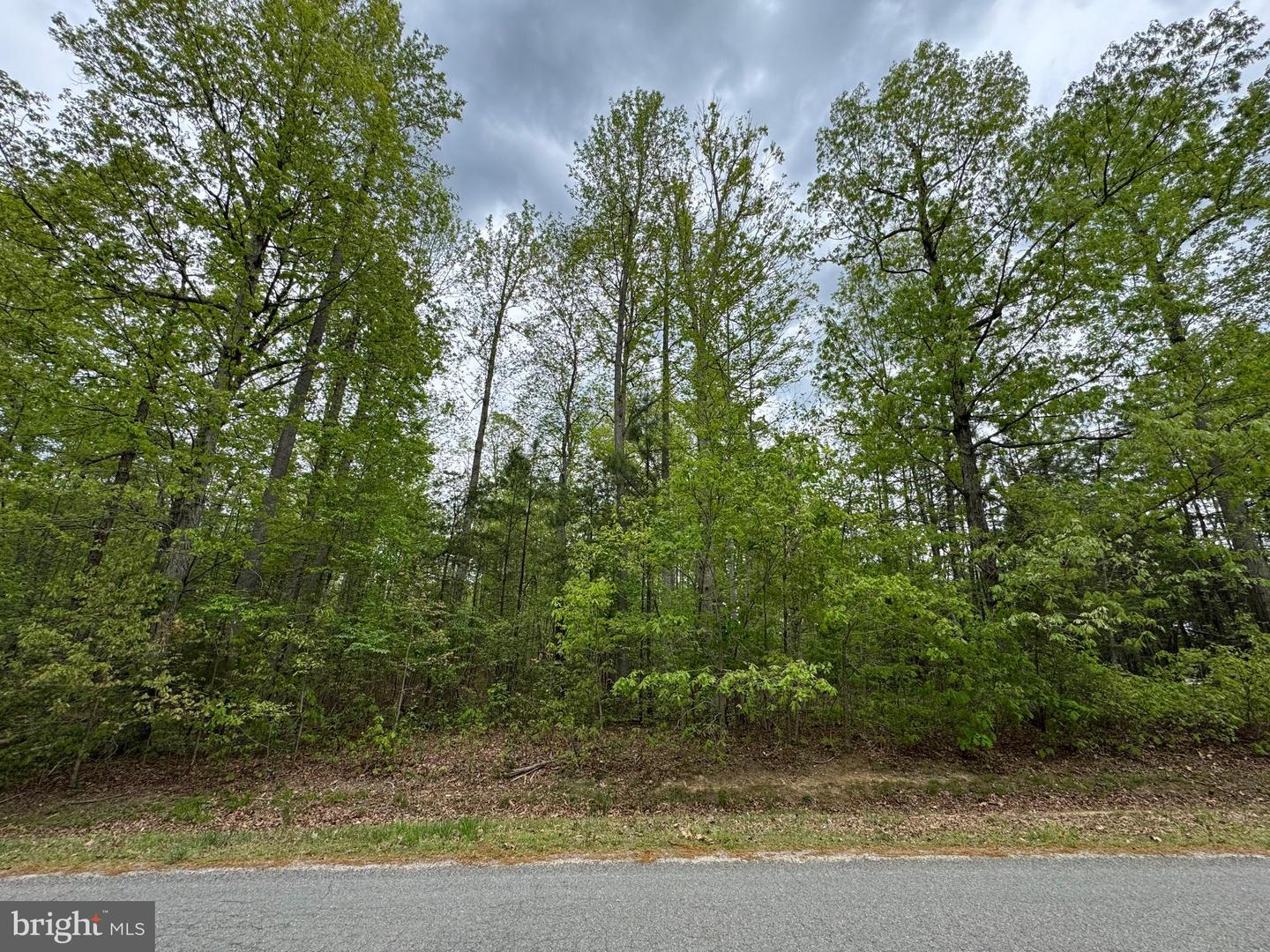LOT 164 TRAVELLER ST, MINERAL, Virginia 23117, ,Land,For sale,LOT 164 TRAVELLER ST,VALA2007702 MLS # VALA2007702