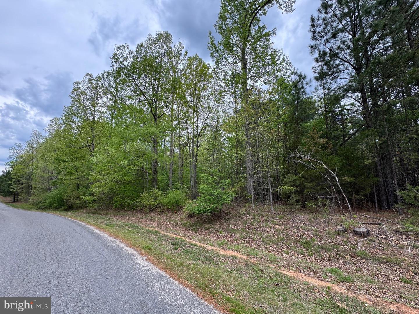 LOT 164 TRAVELLER ST, MINERAL, Virginia 23117, ,Land,For sale,LOT 164 TRAVELLER ST,VALA2007702 MLS # VALA2007702
