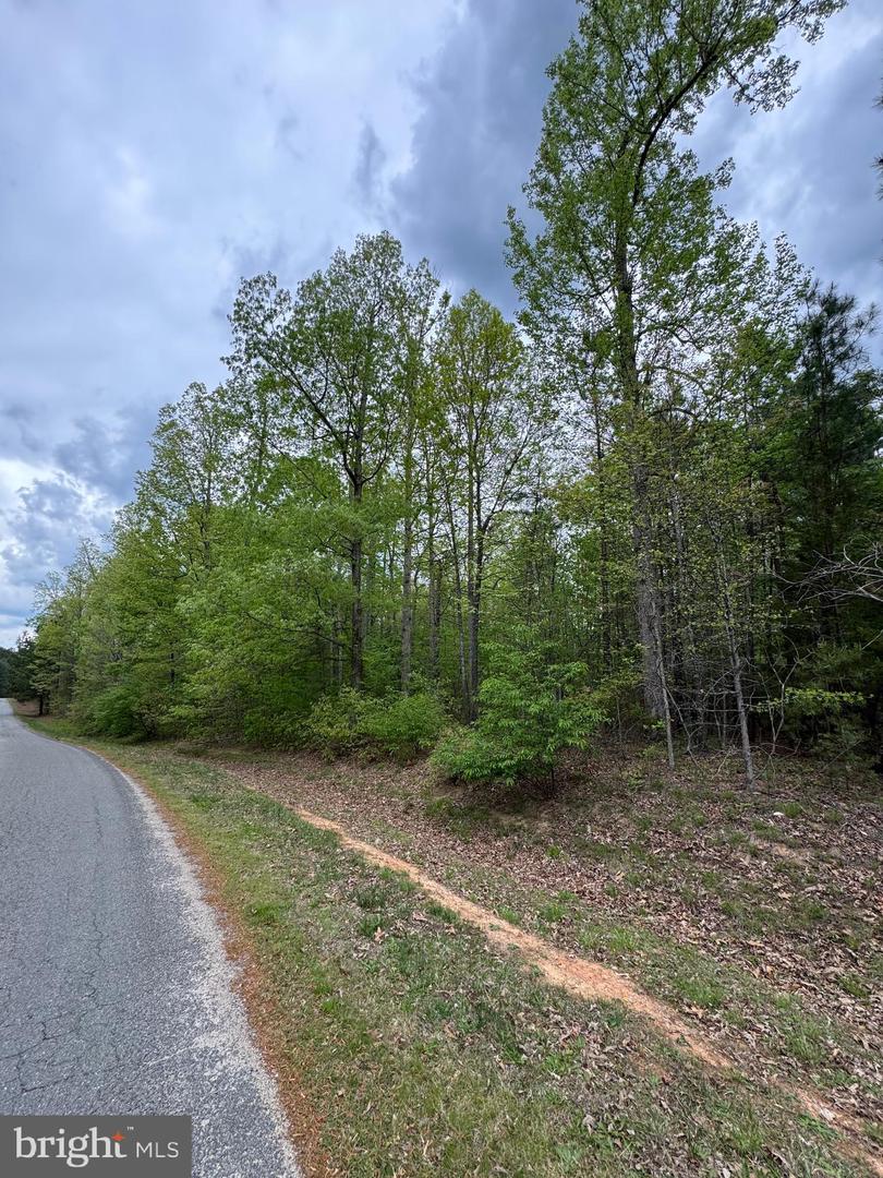 LOT 164 TRAVELLER ST, MINERAL, Virginia 23117, ,Land,For sale,LOT 164 TRAVELLER ST,VALA2007702 MLS # VALA2007702