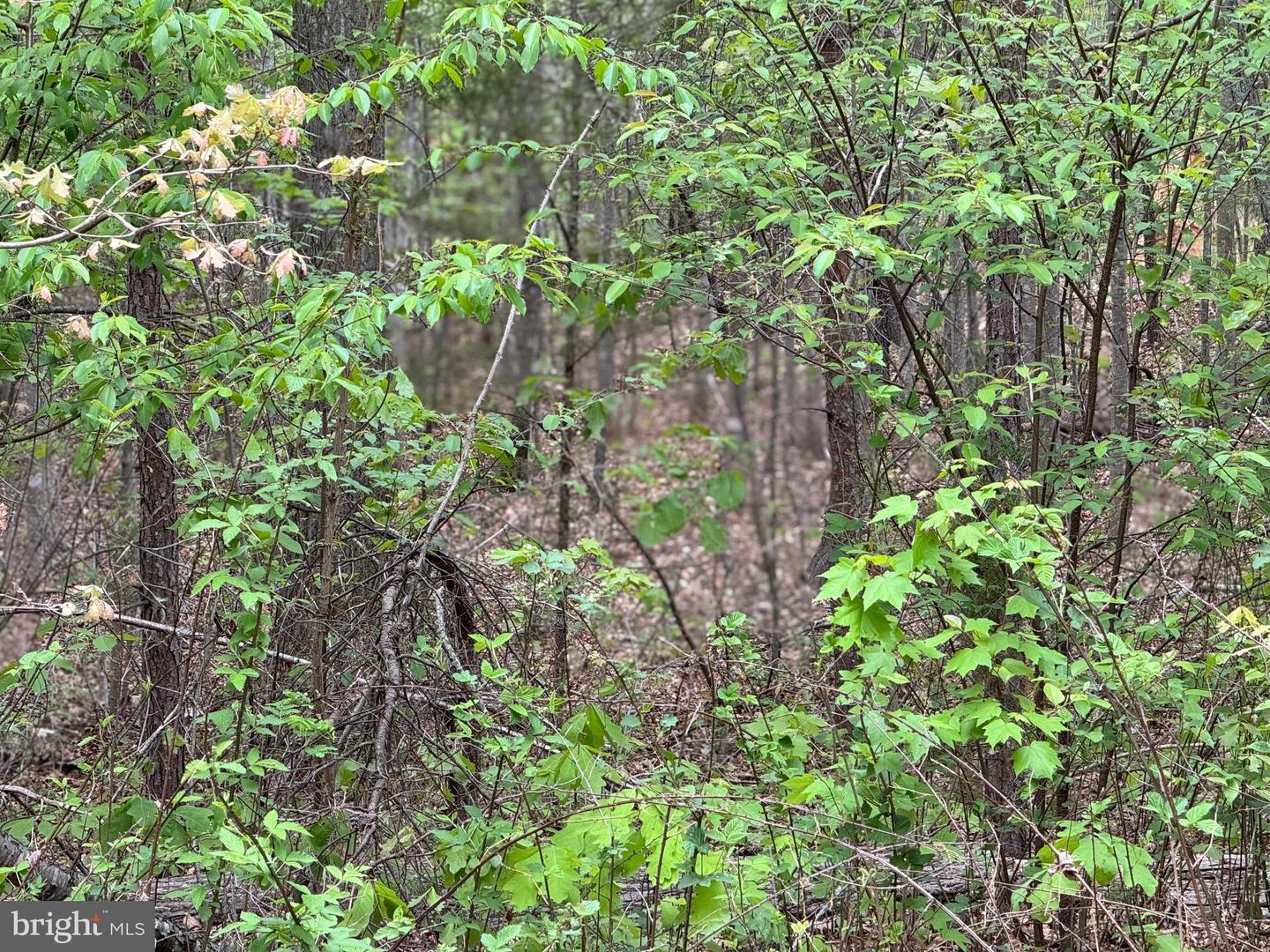 LOT 164 TRAVELLER ST, MINERAL, Virginia 23117, ,Land,For sale,LOT 164 TRAVELLER ST,VALA2007702 MLS # VALA2007702
