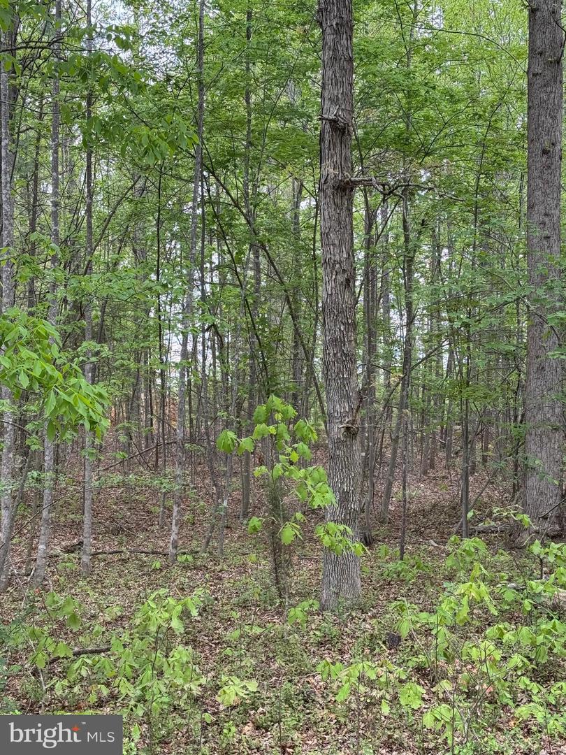 LOT 164 TRAVELLER ST, MINERAL, Virginia 23117, ,Land,For sale,LOT 164 TRAVELLER ST,VALA2007702 MLS # VALA2007702