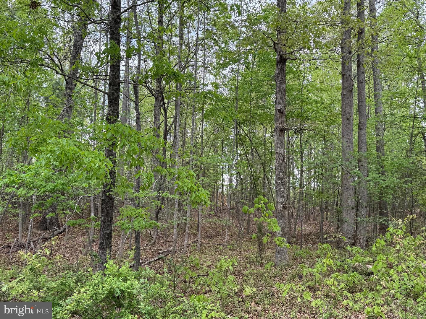 LOT 164 TRAVELLER ST, MINERAL, Virginia 23117, ,Land,For sale,LOT 164 TRAVELLER ST,VALA2007702 MLS # VALA2007702