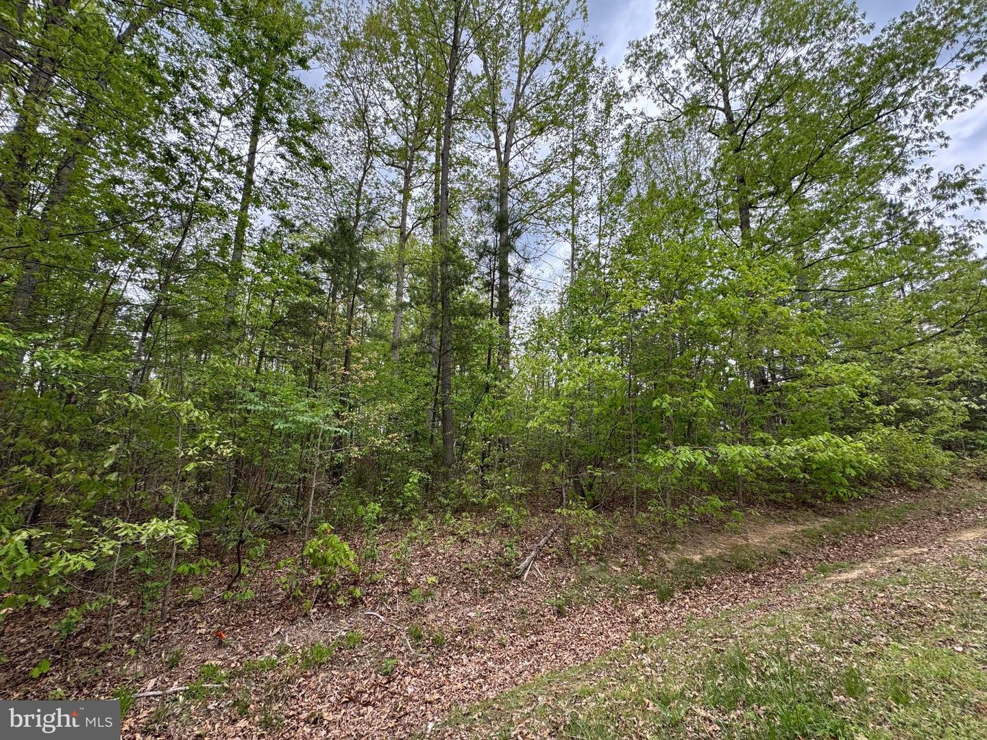 LOT 164 TRAVELLER ST, MINERAL, Virginia 23117, ,Land,For sale,LOT 164 TRAVELLER ST,VALA2007702 MLS # VALA2007702