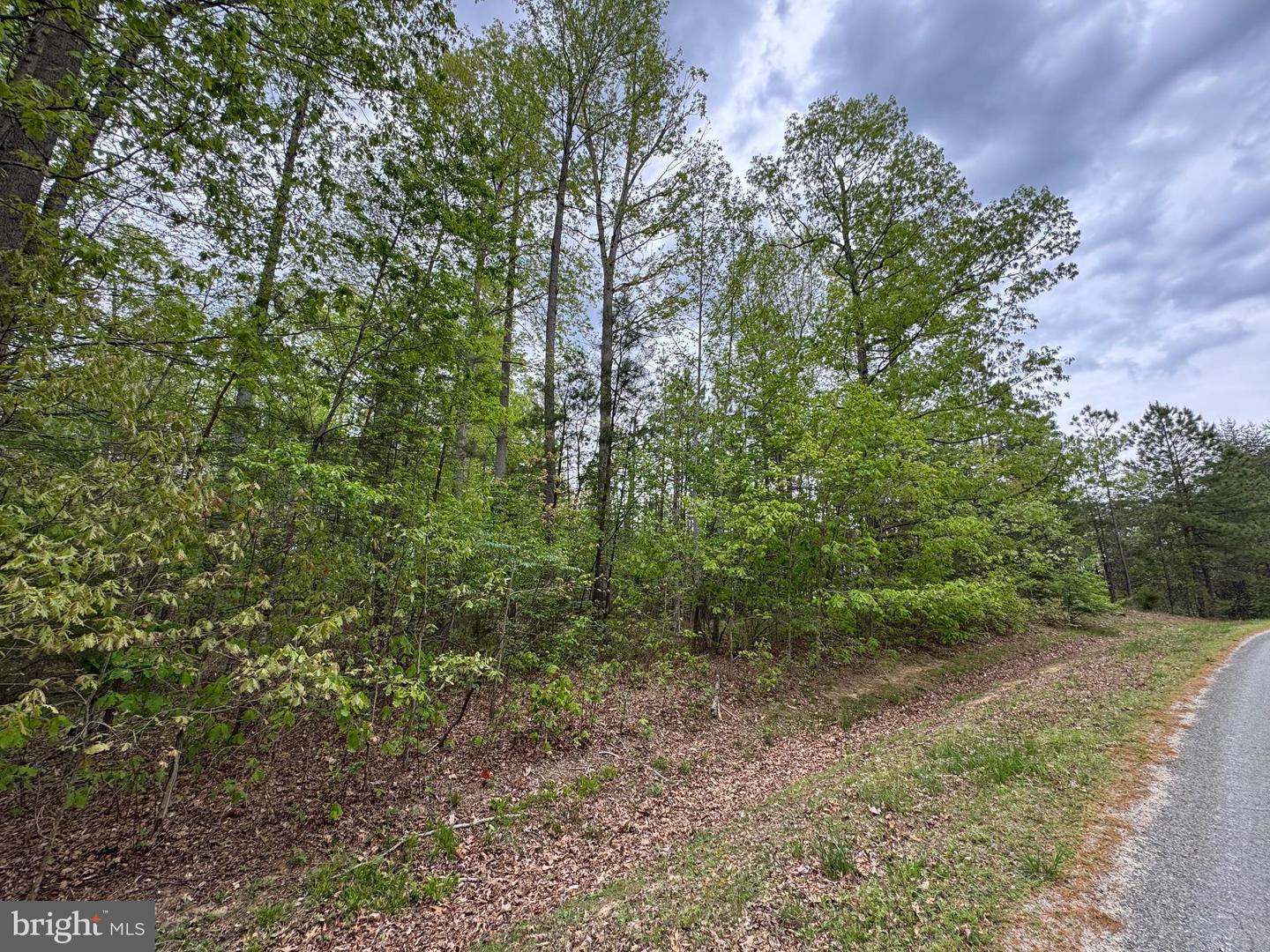 LOT 164 TRAVELLER ST, MINERAL, Virginia 23117, ,Land,For sale,LOT 164 TRAVELLER ST,VALA2007702 MLS # VALA2007702