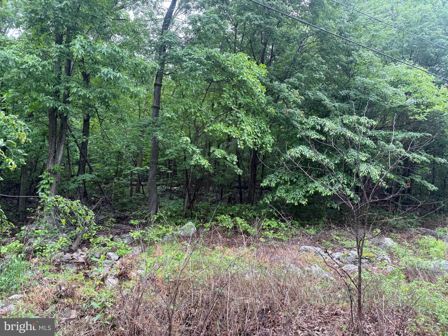 IROQUOIS TRL #LOT 75, WINCHESTER, Virginia 22602, ,Land,For sale,IROQUOIS TRL #LOT 75,VAFV2033844 MLS # VAFV2033844