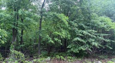 IROQUOIS TRL #LOT 75, WINCHESTER, Virginia 22602, ,Land,For sale,IROQUOIS TRL #LOT 75,VAFV2033844 MLS # VAFV2033844