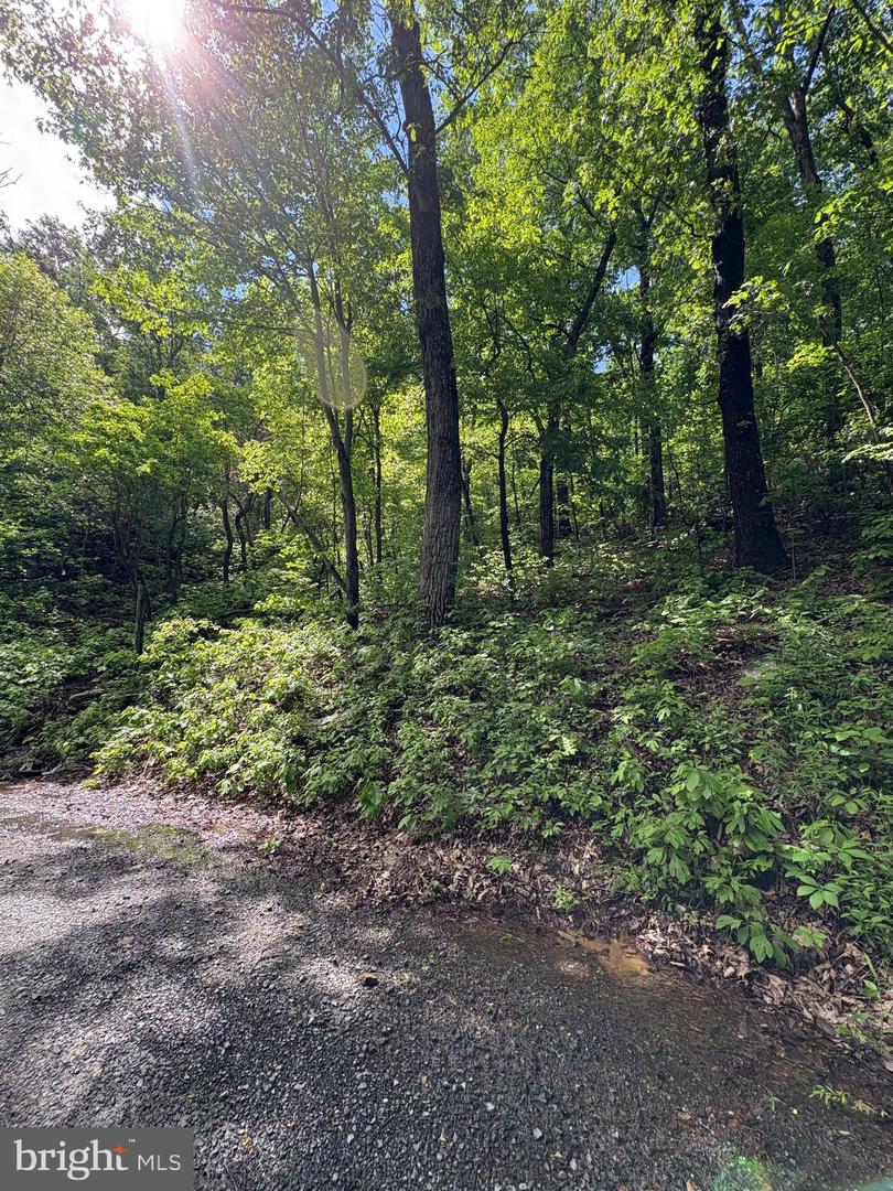 LOT 147 TOMAHAWK TRAIL, WINCHESTER, Virginia 22602, ,Land,For sale,LOT 147 TOMAHAWK TRAIL,VAFV2034370 MLS # VAFV2034370