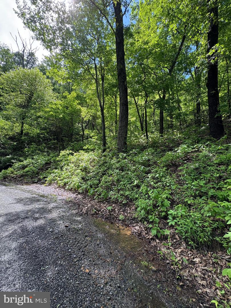 LOT 147 TOMAHAWK TRAIL, WINCHESTER, Virginia 22602, ,Land,For sale,LOT 147 TOMAHAWK TRAIL,VAFV2034370 MLS # VAFV2034370
