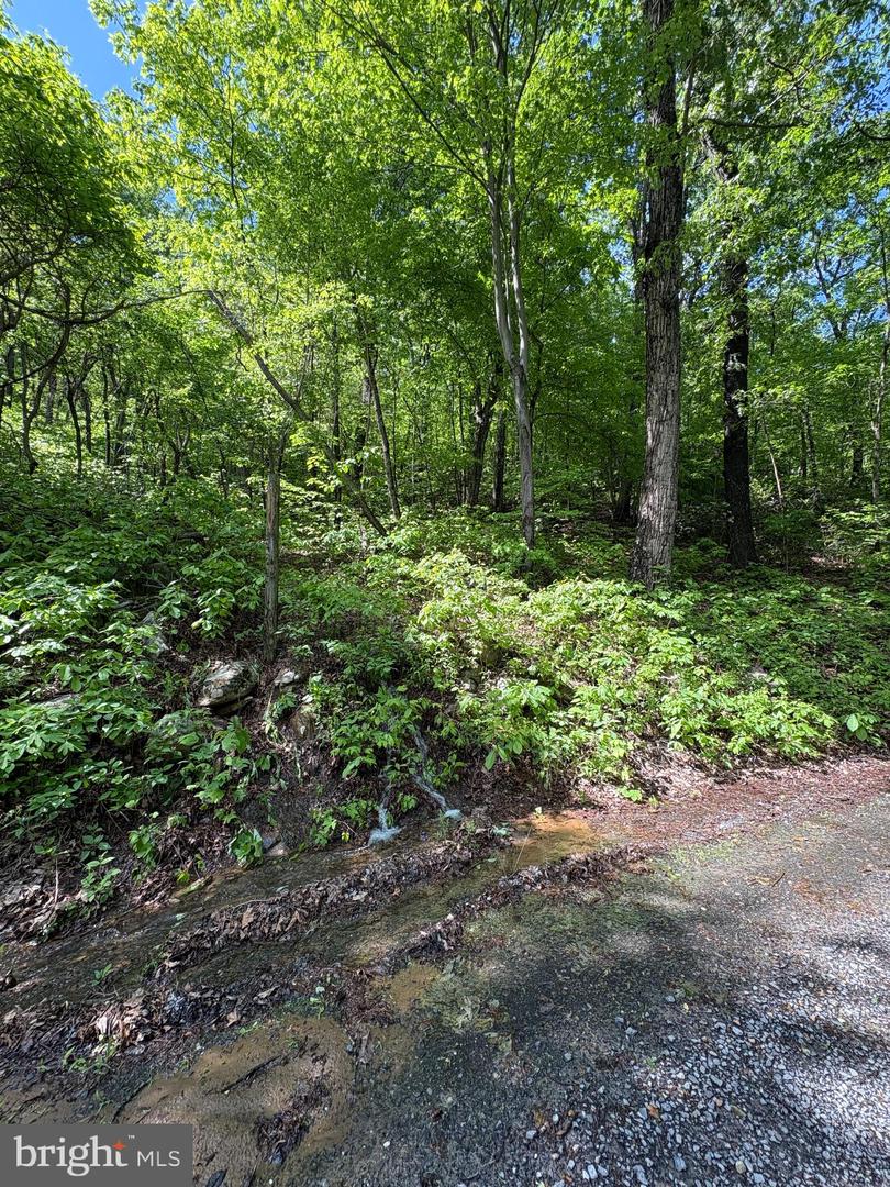 LOT 147 TOMAHAWK TRAIL, WINCHESTER, Virginia 22602, ,Land,For sale,LOT 147 TOMAHAWK TRAIL,VAFV2034370 MLS # VAFV2034370