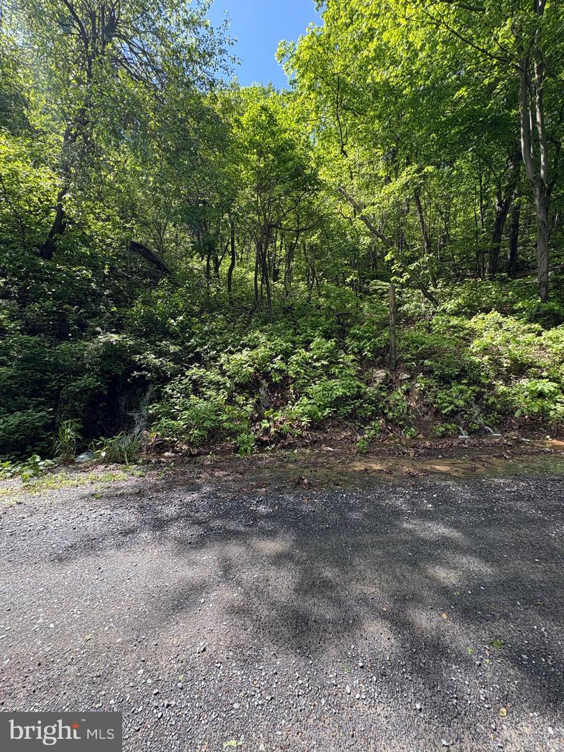 LOT 147 TOMAHAWK TRAIL, WINCHESTER, Virginia 22602, ,Land,For sale,LOT 147 TOMAHAWK TRAIL,VAFV2034370 MLS # VAFV2034370