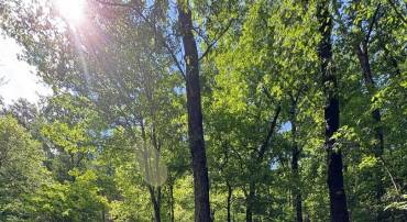 LOT 147 TOMAHAWK TRAIL, WINCHESTER, Virginia 22602, ,Land,For sale,LOT 147 TOMAHAWK TRAIL,VAFV2034370 MLS # VAFV2034370