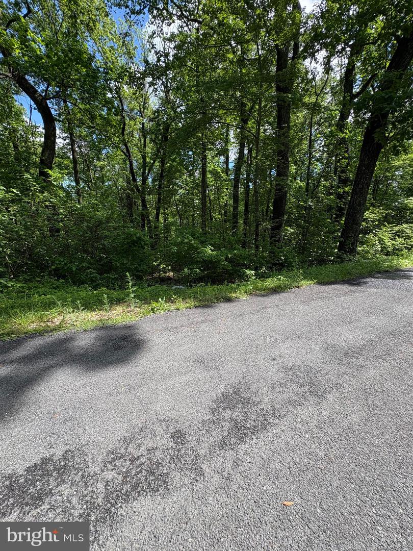 LOT 246 INCA TRAIL, WINCHESTER, Virginia 22602, ,Land,For sale,LOT 246 INCA TRAIL,VAFV2034378 MLS # VAFV2034378