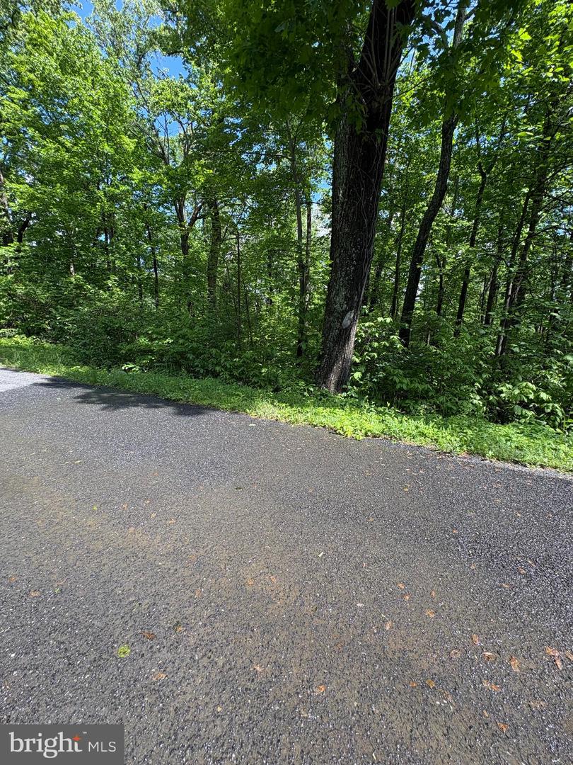 LOT 246 INCA TRAIL, WINCHESTER, Virginia 22602, ,Land,For sale,LOT 246 INCA TRAIL,VAFV2034378 MLS # VAFV2034378