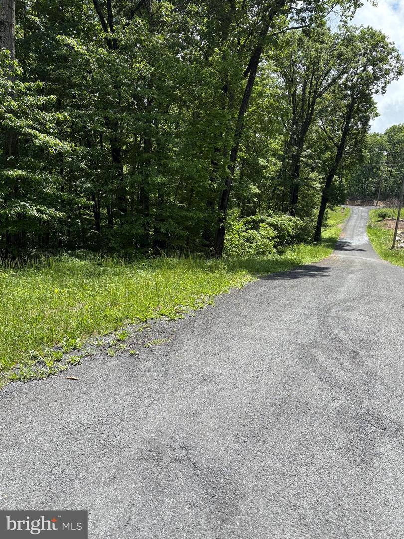 LOT 246 INCA TRAIL, WINCHESTER, Virginia 22602, ,Land,For sale,LOT 246 INCA TRAIL,VAFV2034378 MLS # VAFV2034378