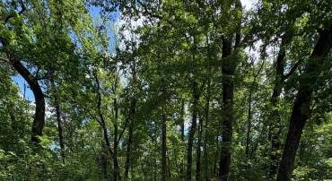 LOT 246 INCA TRAIL, WINCHESTER, Virginia 22602, ,Land,For sale,LOT 246 INCA TRAIL,VAFV2034378 MLS # VAFV2034378