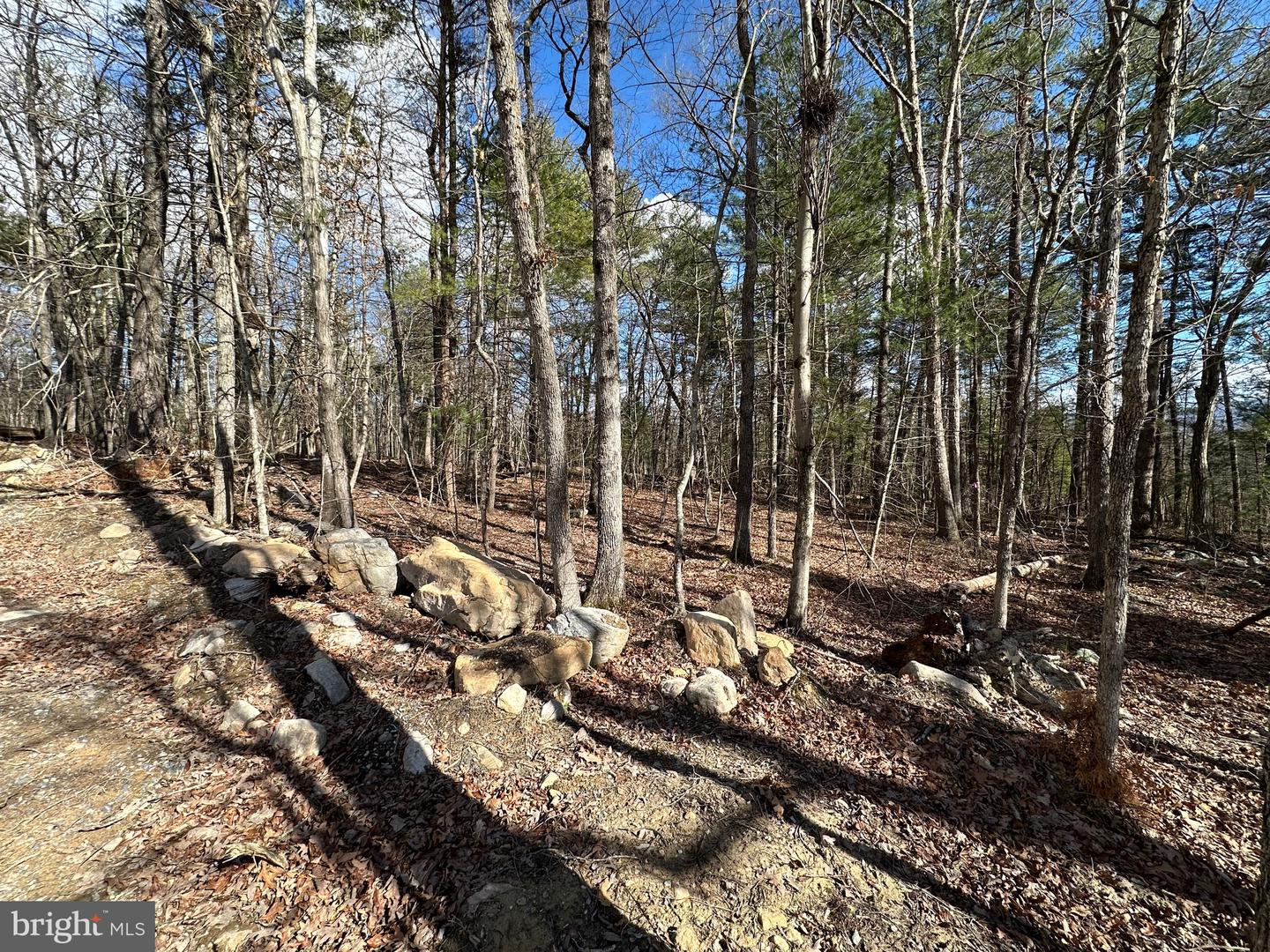 K57 & K68 FOREST EXT DR, LURAY, Virginia 22835, ,Land,For sale,K57 & K68 FOREST EXT DR,VAPA2004942 MLS # VAPA2004942