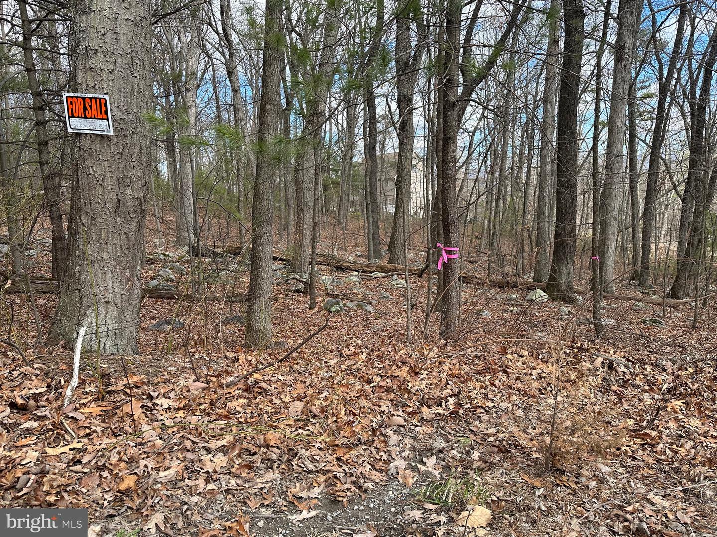 K57 & K68 FOREST EXT DR, LURAY, Virginia 22835, ,Land,For sale,K57 & K68 FOREST EXT DR,VAPA2004942 MLS # VAPA2004942