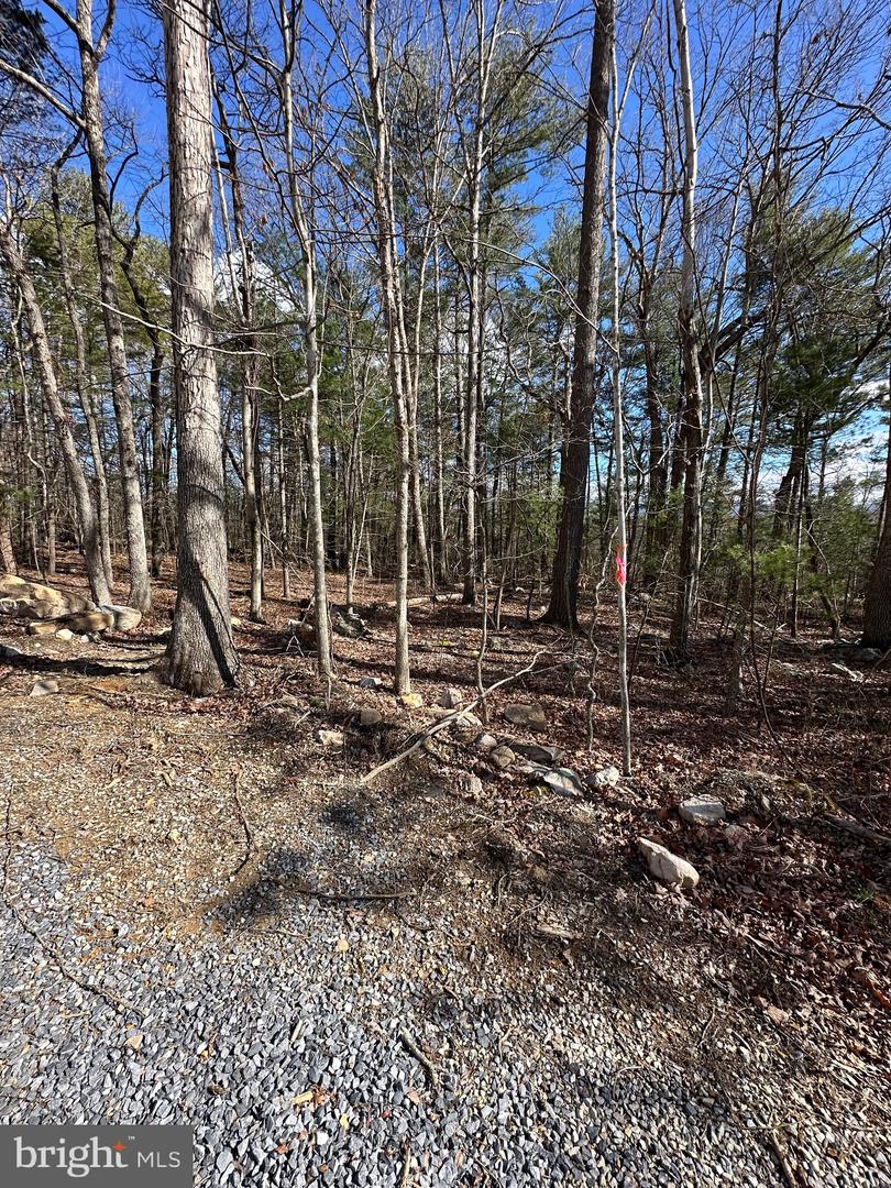K57 & K68 FOREST EXT DR, LURAY, Virginia 22835, ,Land,For sale,K57 & K68 FOREST EXT DR,VAPA2004942 MLS # VAPA2004942