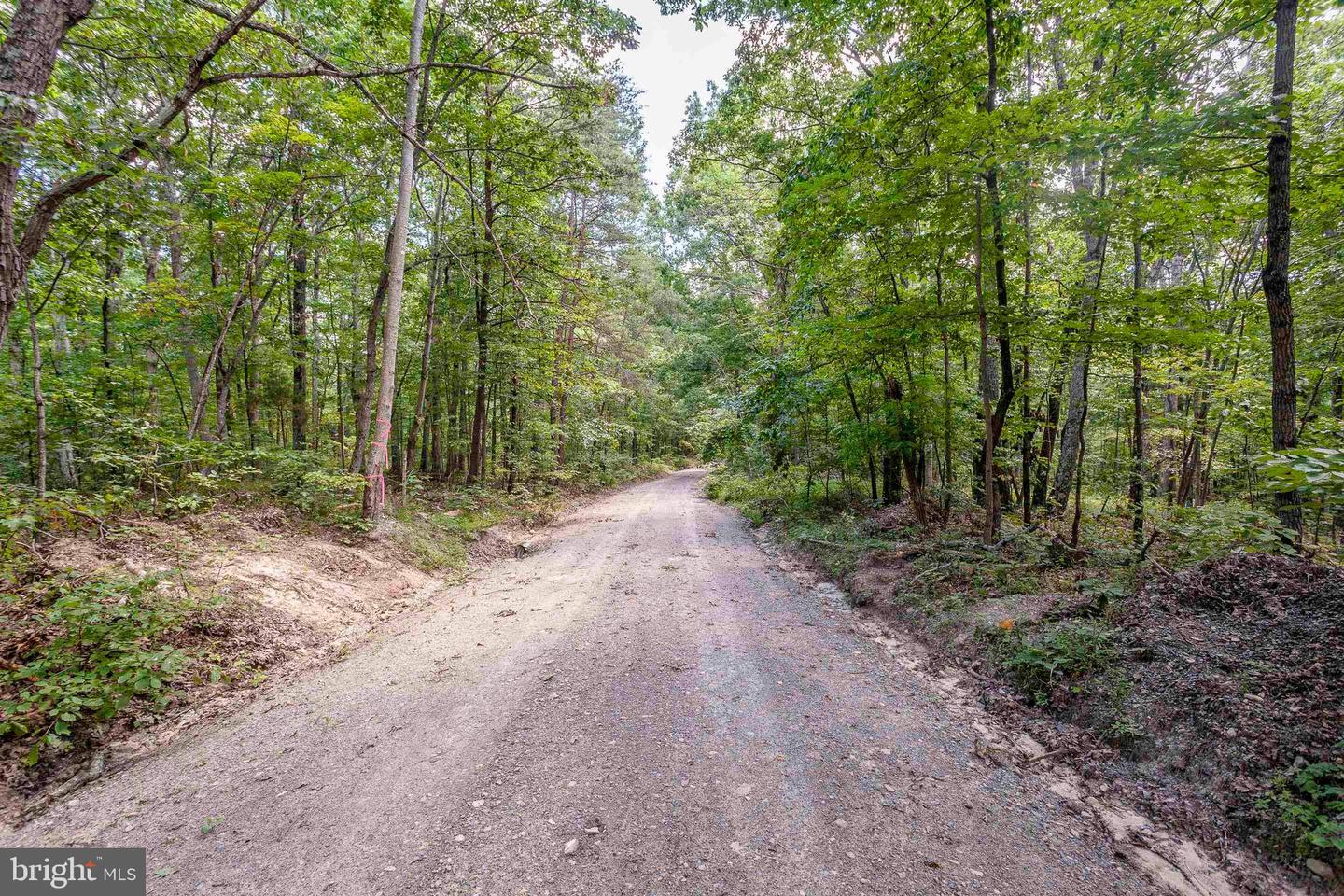 K57 & K68 FOREST EXT DR, LURAY, Virginia 22835, ,Land,For sale,K57 & K68 FOREST EXT DR,VAPA2004942 MLS # VAPA2004942