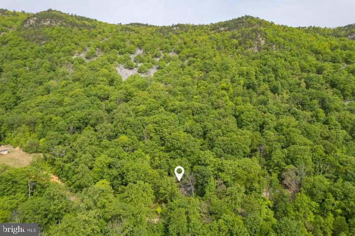 K57 & K68 FOREST EXT DR, LURAY, Virginia 22835, ,Land,For sale,K57 & K68 FOREST EXT DR,VAPA2004942 MLS # VAPA2004942