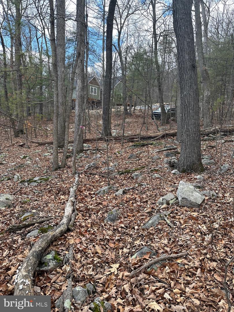 K57 & K68 FOREST EXT DR, LURAY, Virginia 22835, ,Land,For sale,K57 & K68 FOREST EXT DR,VAPA2004942 MLS # VAPA2004942