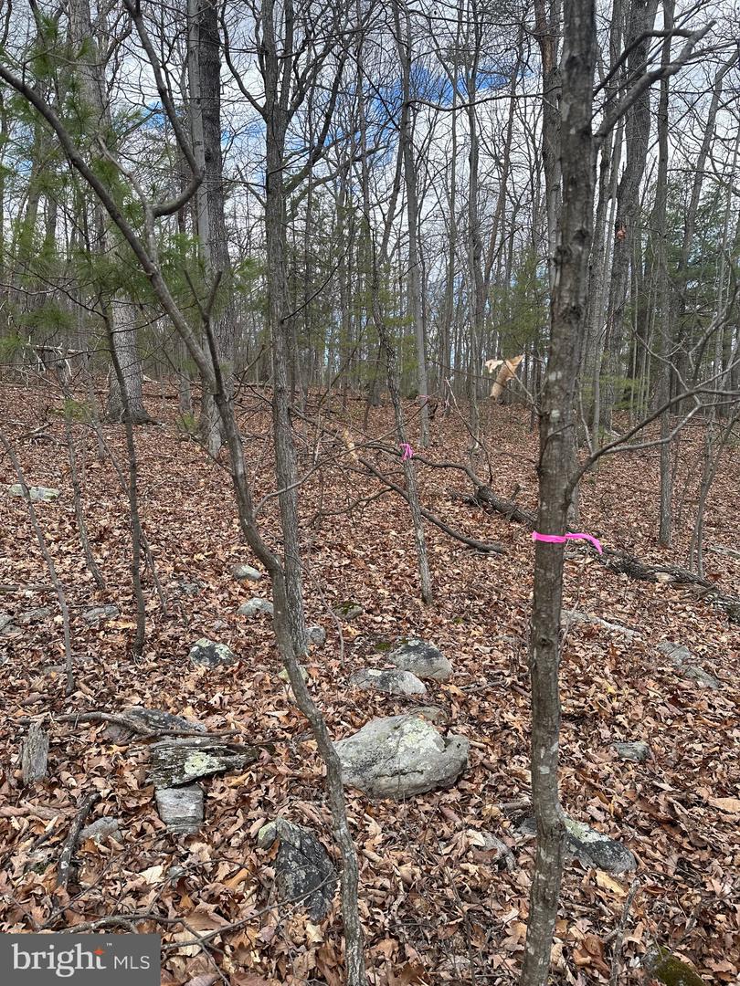 K57 & K68 FOREST EXT DR, LURAY, Virginia 22835, ,Land,For sale,K57 & K68 FOREST EXT DR,VAPA2004942 MLS # VAPA2004942